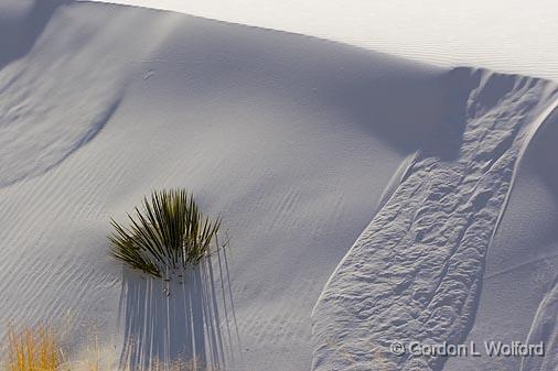 White Sands_31718.jpg - Photographed at the White Sands National Monument near Alamogordo, New Mexico, USA.